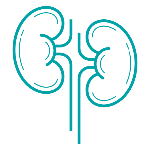 Top Nephrology Hospital in Chennai 