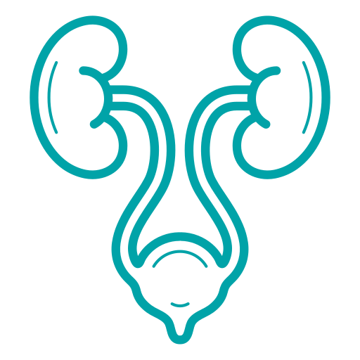 Urology and Urogynaecology Hospital in Chennai 