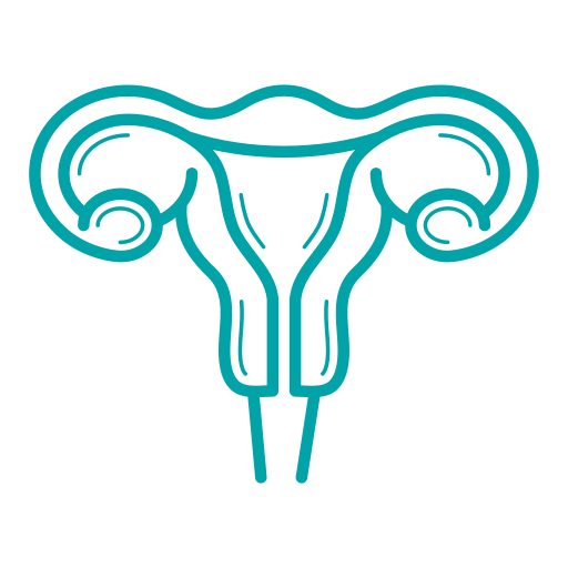 Department of Obstetrics and Gynaecology