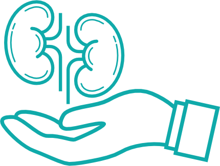 Kidney transplant hospital in Chennai