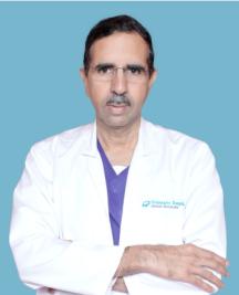 Sreedhar P